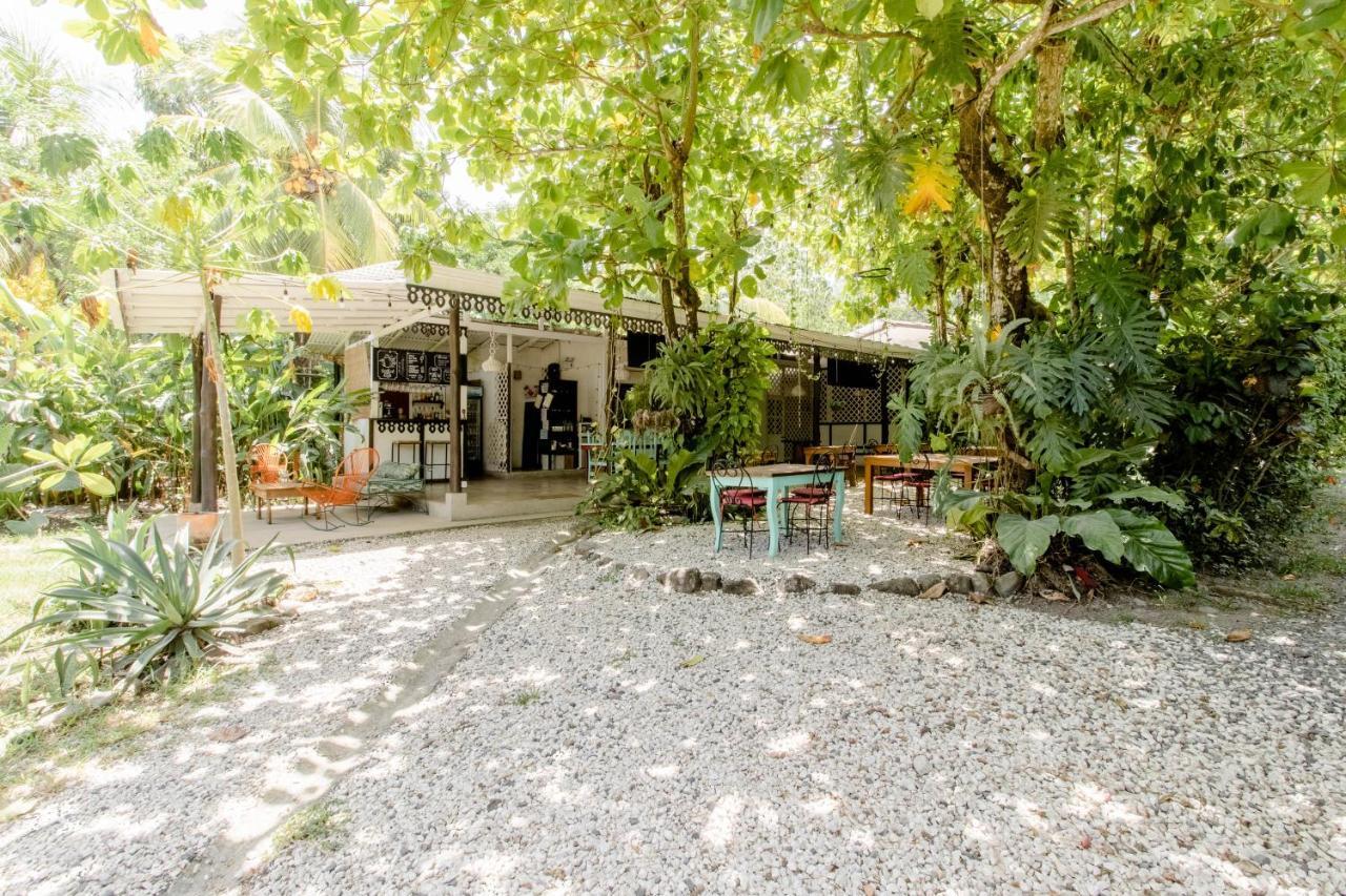 Bajo El Arbol B&B Playa Santa Teresa  Экстерьер фото