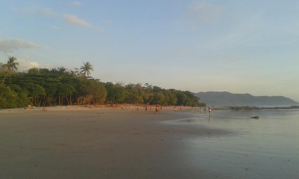 Bajo El Arbol B&B Playa Santa Teresa  Экстерьер фото